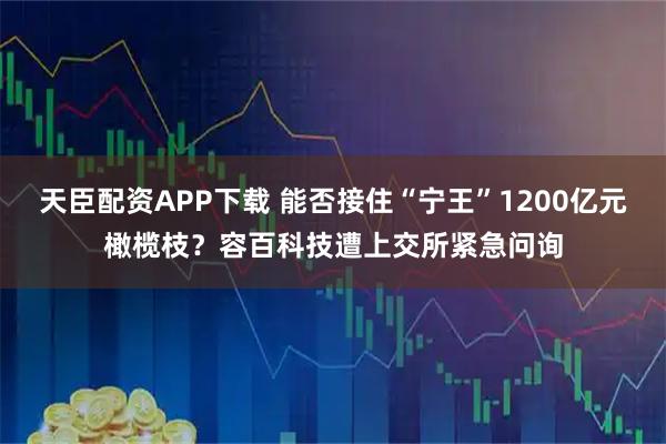天臣配资APP下载 能否接住“宁王”1200亿元橄榄枝？容百科技遭上交所紧急问询
