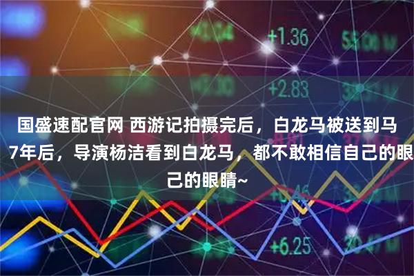 国盛速配官网 西游记拍摄完后，白龙马被送到马场，7年后，导演杨洁看到白龙马，都不敢相信自己的眼睛~